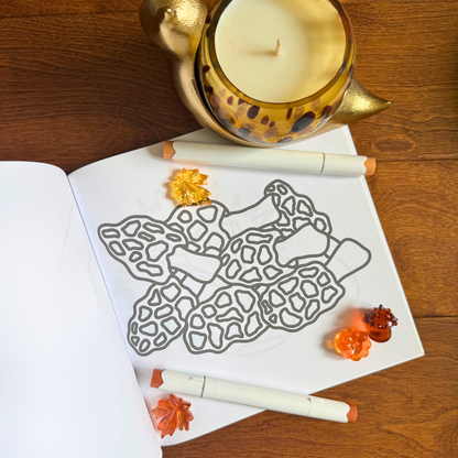 Fungi & Foraging Coloring Book