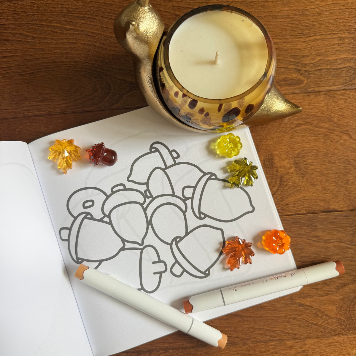 Fungi & Foraging Coloring Book